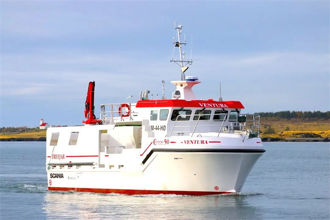 FRP玻璃鋼漁船 -2