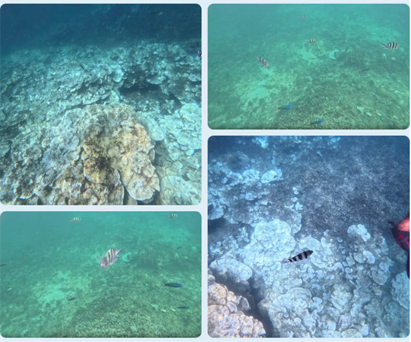 風(fēng)雨兼程二十載，馬來之旅續(xù)新篇&mdash;&mdash;2024年博皓沙巴風(fēng)情之旅     -6