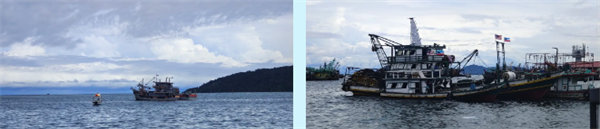 廿載風云一路行，馬來風情共見證&mdash;&mdash;2024廣東博皓馬來西亞之旅   -7